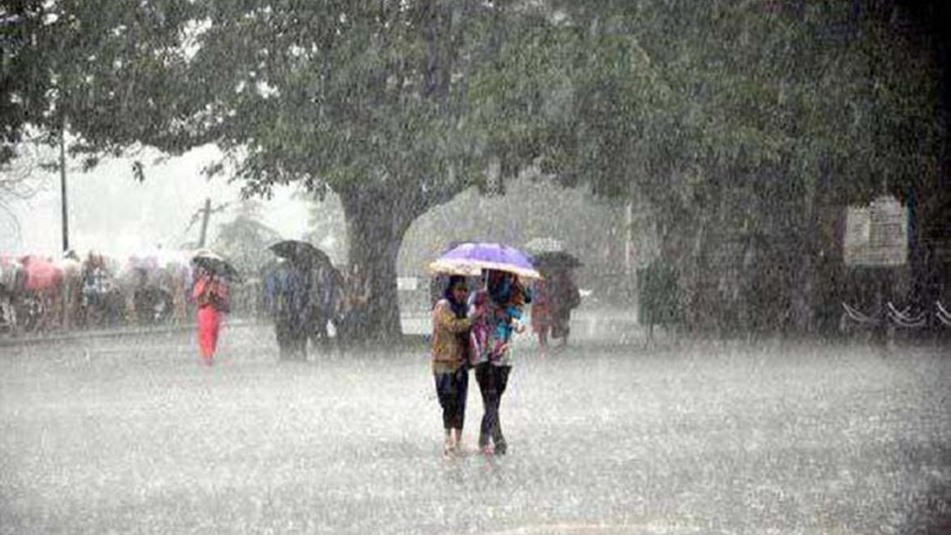 Crucial Weather Alert for the next 24 Hours