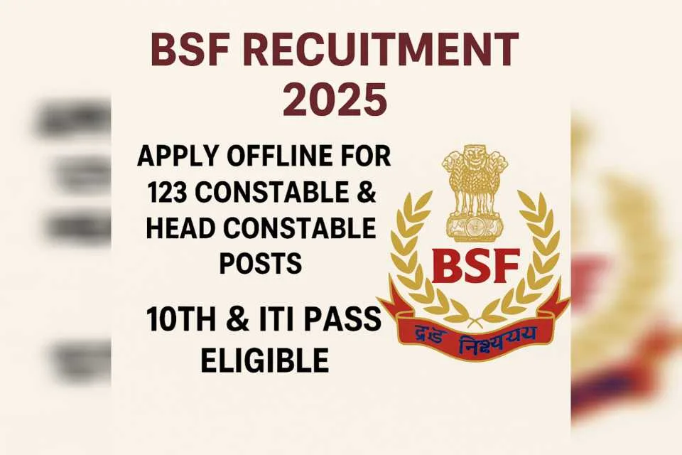 bsf.jpg